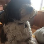 Caleb - @caleb.tibbs.17 - Instagram