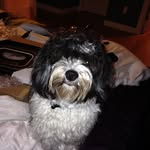 Caleb Tibbs - @caleb091705 - Instagram
