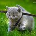 Caleb Tierney - Facebook