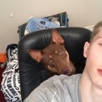 Caleb Tilley - @clt7253 - Instagram