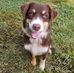 Caleb Timmons - Facebook