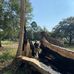Caleb Timmons - Facebook