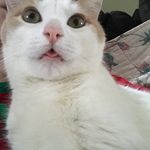 Caleb timmons - @calebtimmons6 - Instagram