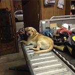 Joshuacalebtimmons - @joshuacalebtimmons - Instagram