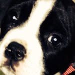 Caleb Timms - @caleb_rocks42 - Instagram