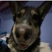 Caleb Tipton - Facebook