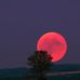 Caleb Trainor - Facebook