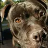 Caleb Trainor - @caleb_200511 - TikTok