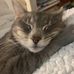 Caleb Treadwell - Facebook