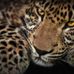 Caleb Wagner - Facebook