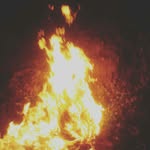 caleb tom walton - @caleb_walton8 - Instagram