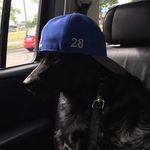 Caleb Walton - @calebwalton2146 - Instagram