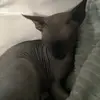 Caleb Wilkins - @caleb.wilkins6 - TikTok