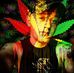 Caleb Willis - Facebook
