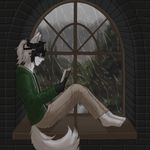 Calix - @calix._.kimura - Instagram