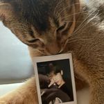 calix kim - @creyyyy_lee - Instagram