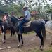 Calixto Vargas Arce - Facebook