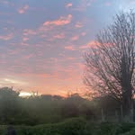 @calla.murphyx - Instagram