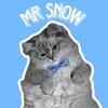 mr snow - @_callmesn0w - TikTok