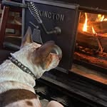 @callawood2024 - Instagram