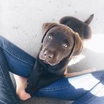 Callen Carter - @callen_carter - Instagram