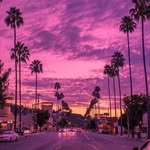 Callan Chapman - @callan_9 - Instagram