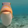 callan_clark - @callan_clark - TikTok