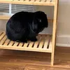 Callen Clark - @callen.clark4 - TikTok