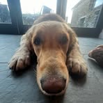 Clark Callan - Facebook