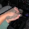 Caelan Cook - @caelan.cook - TikTok
