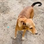 Layla - @fowlercallan3744444 - Instagram