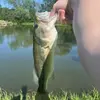 kallan_goodwin - @kallan_goodwin - TikTok