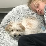 Callan McCormick - Facebook
