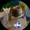 CM7 - @callanmccormack - TikTok
