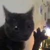 Callan Porter - @callanporter - TikTok
