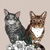 Callan Roberts - @thunder.cats.and.ponies - TikTok