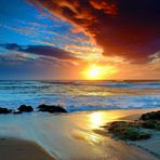 Callen Rose - Facebook