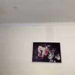 Callan Turner - Facebook