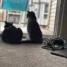 Callie&Ash aka CASH - @ashandcallie - TikTok