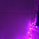 Callie Baxter - @callie__baxter_is_my_name - Instagram