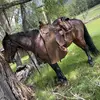 callee_blakely - @calleeblakley - TikTok