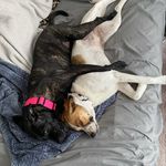 Callie & Mia Burns - @calliemiaburns_2020 - Instagram