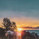 Callie Burns - @callieburns50 - Instagram