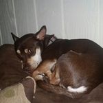 Callie Camp - @camp_callie - Instagram