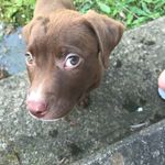 Callie Camp - @calliecamp567 - Instagram