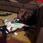 Callie Camp - Facebook