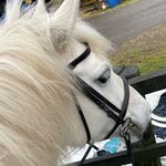 Callie Campbell - @callie_campbell0 - Instagram