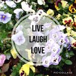 Callie Cooper - @callie_cooper_831 - Instagram