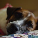Callie Cooper - @callienoelcooper - Instagram
