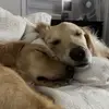 Cali & Hazel - @cali.hazel - TikTok